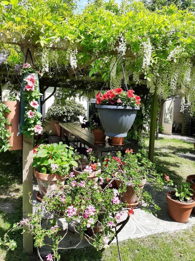 Casa Martina *